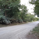 You can see the driveway of Ron’s nearest neighbor on the left side of the gravel road. Trees block direct line of sight.